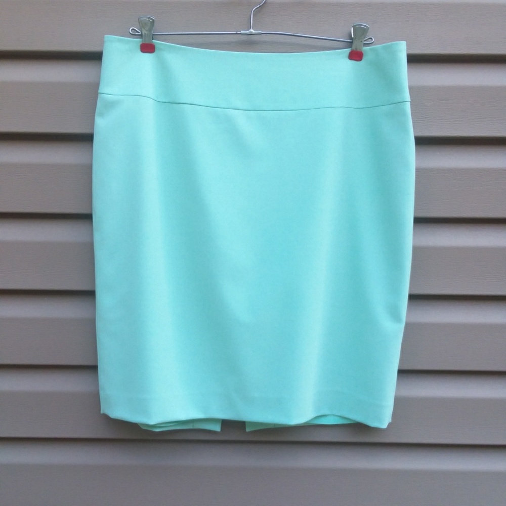 Vince Camuto Sz 12 Mint Green Skirt